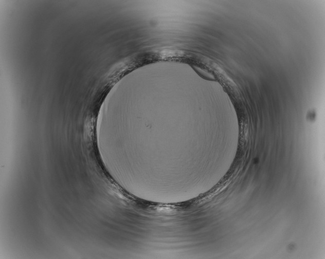 X0000098210475200805221631