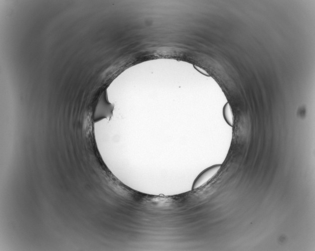 X0000098210478200805221631