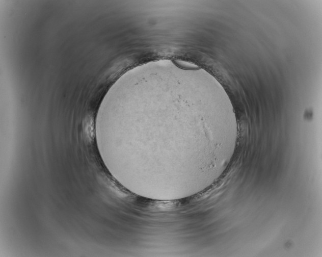 X0000098210479200805221631