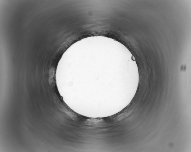 X0000098210480200805221631