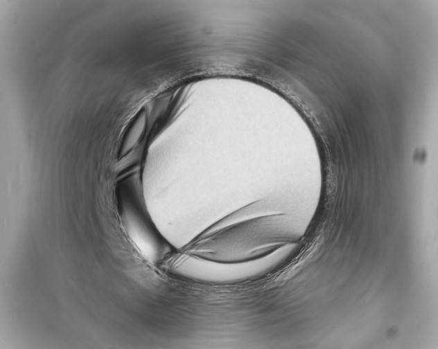 X0000098210481200805221630