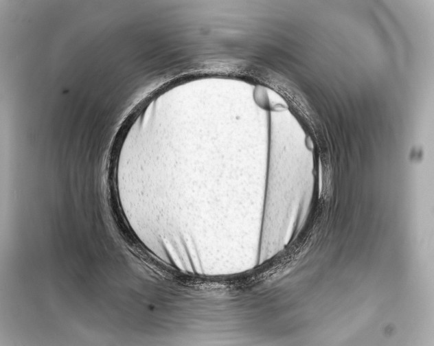X0000098210483200805221630
