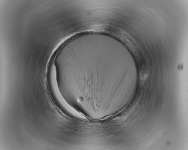 X0000098210484200805221630
