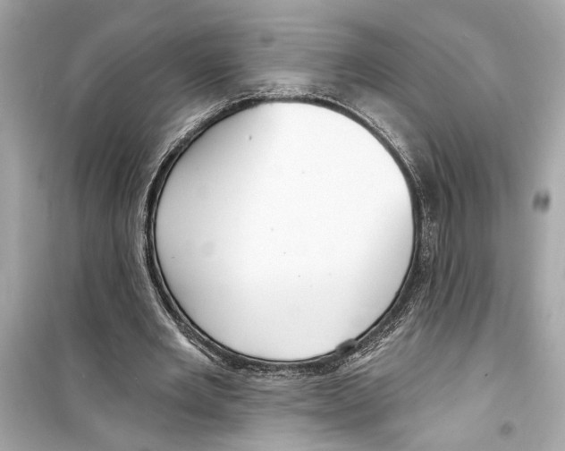 X0000098210485200805221630