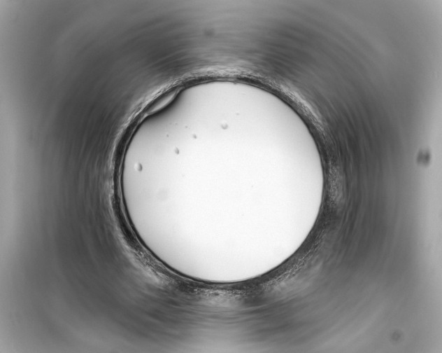 X0000098210486200805221630