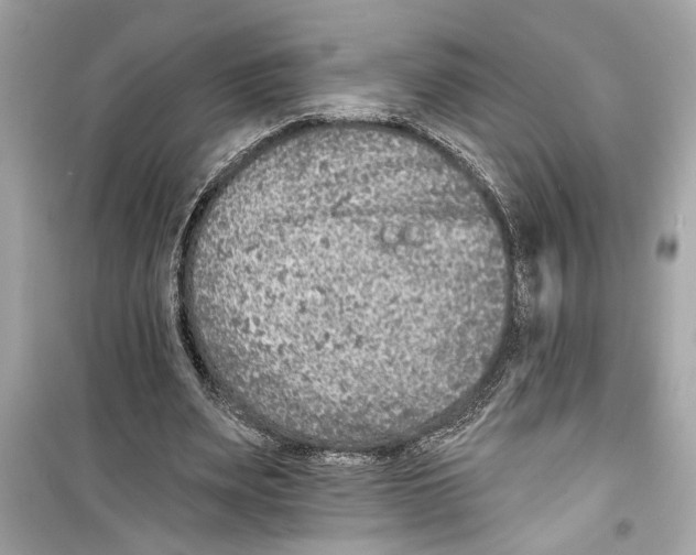 X0000098210487200805221630