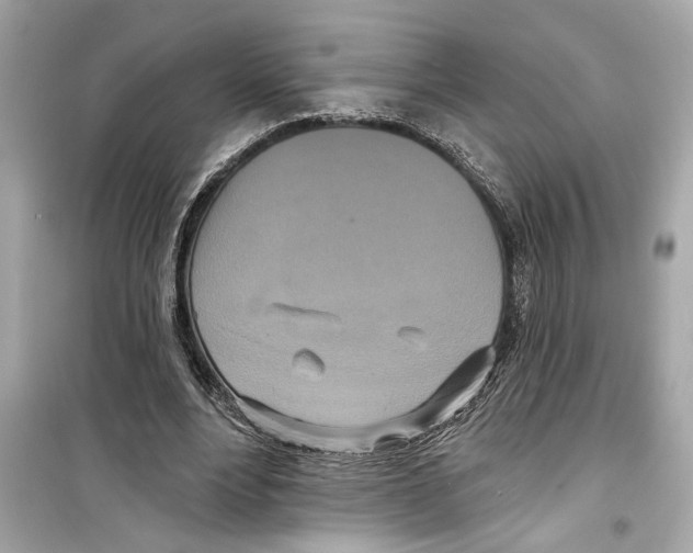 X0000098210488200805221630