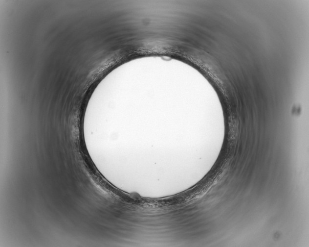 X0000098210489200805221630