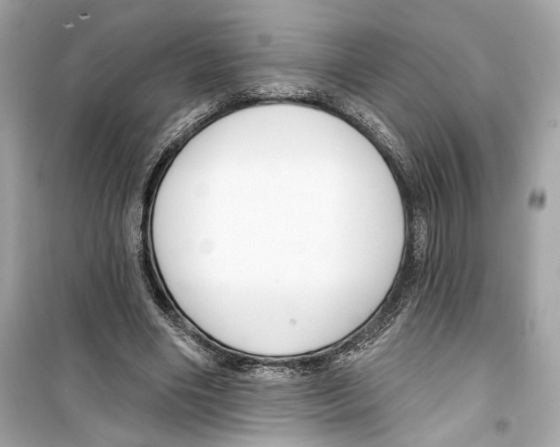 X0000098210490200805221630