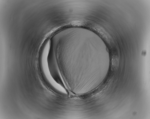 X0000098210492200805221630