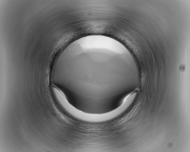 X0000098210493200805221630