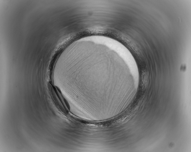 X0000098210494200805221630