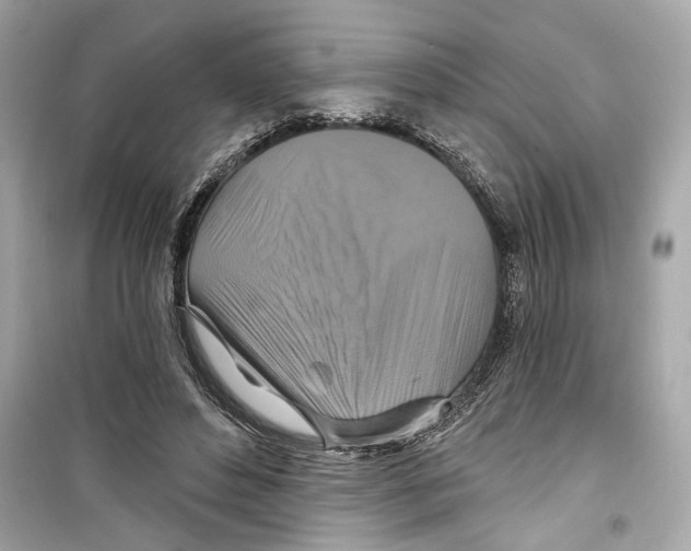 X0000098210496200805221630