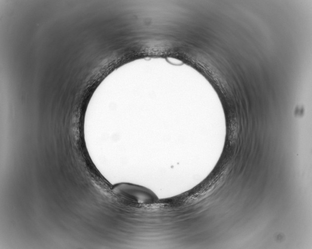 X0000098210497200805221630