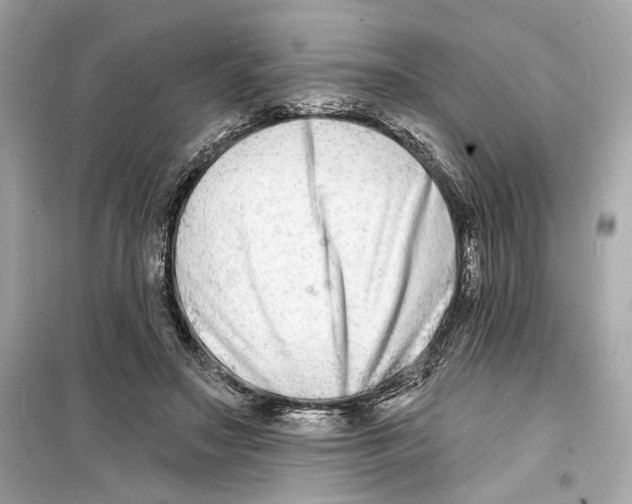 X0000098210499200805221630