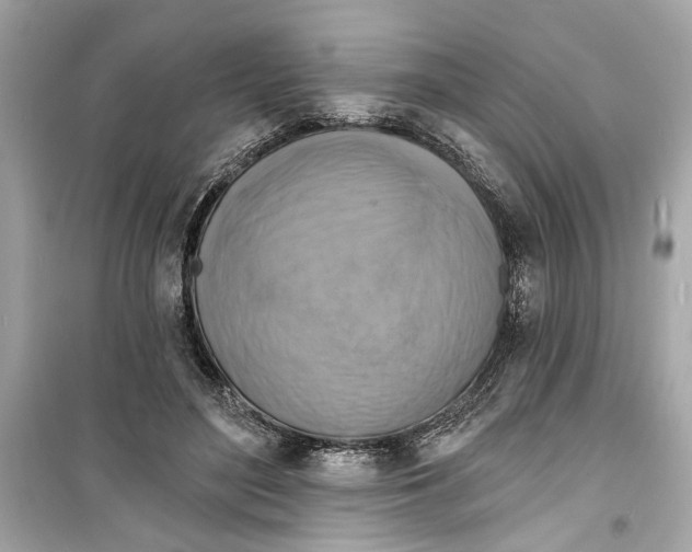 X0000098210500200805221630