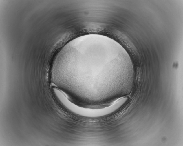 X0000098210501200805221630