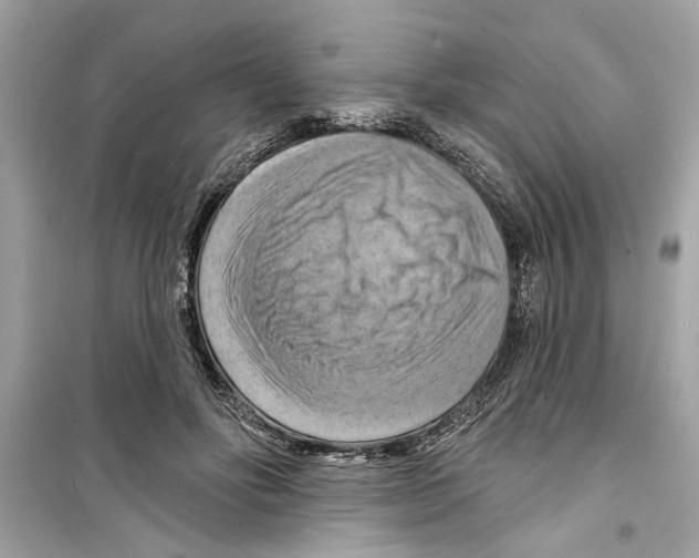 X0000098210502200805221630