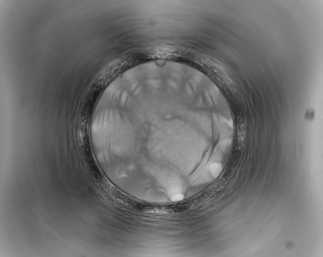 X0000098210503200805221630