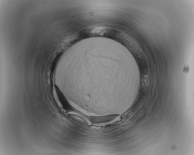 X0000098210504200805221630