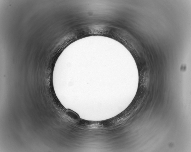 X0000098210505200805221630