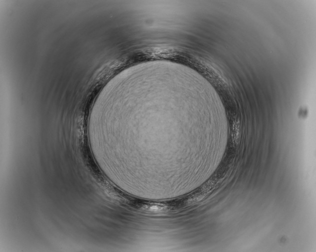 X0000098210506200805221630