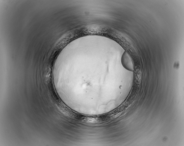 X0000098210507200805221630
