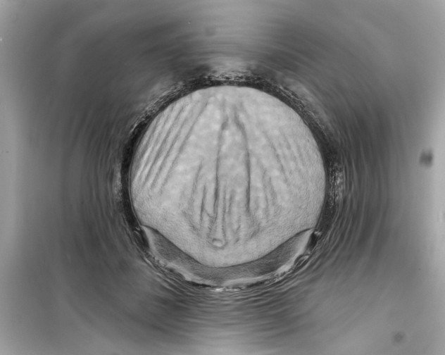 X0000098210508200805221630