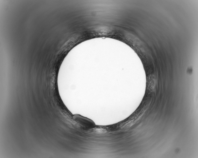 X0000098210509200805221630