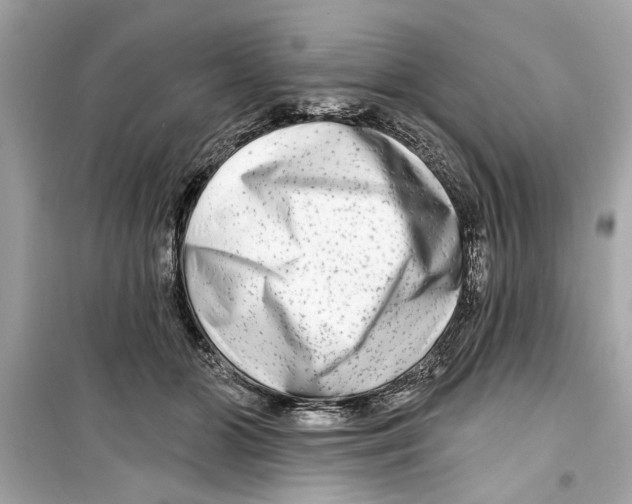 X0000098210510200805221630
