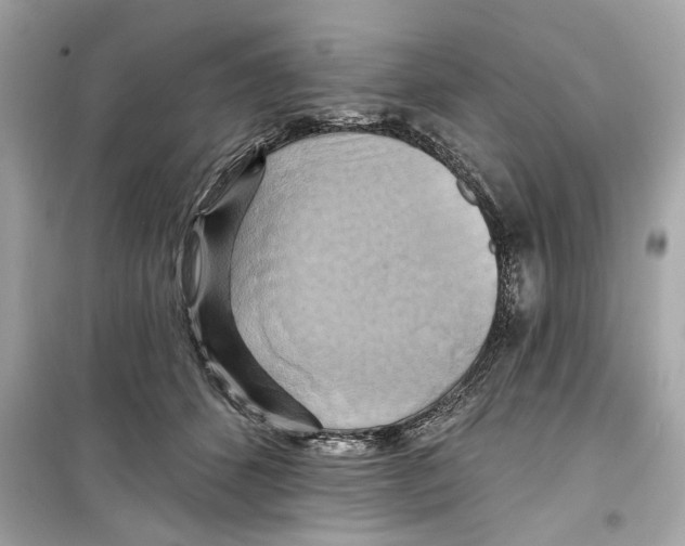 X0000098210512200805221630