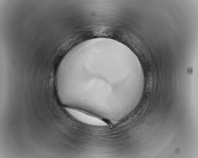 X0000098210513200805221630