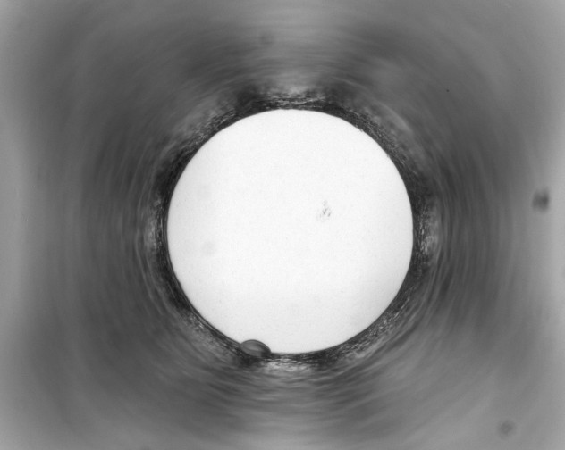 X0000098210515200805221630
