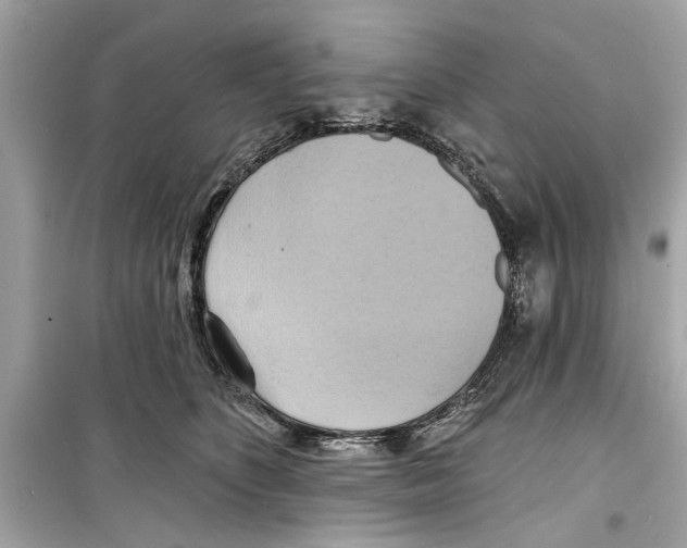 X0000098210516200805221630