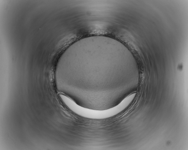 X0000098210517200805221630
