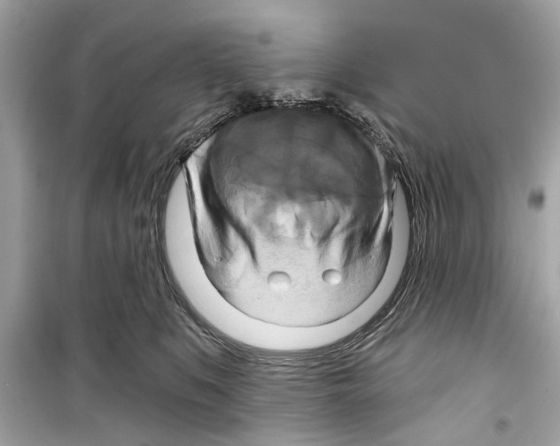 X0000098210519200805221630