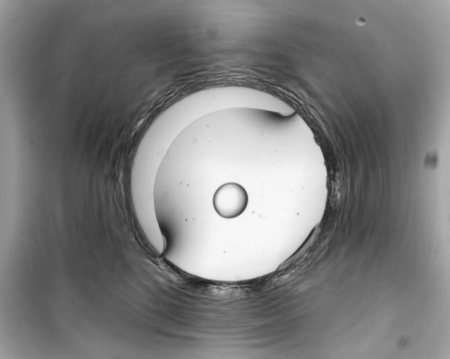 X0000098210520200805221630
