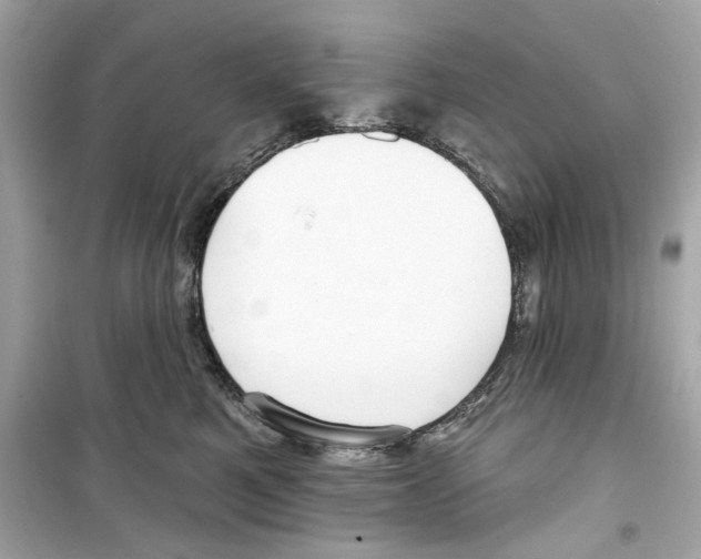 X0000098210521200805221630