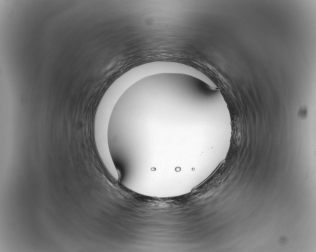 X0000098210523200805221630