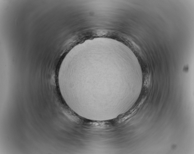 X0000098210524200805221630