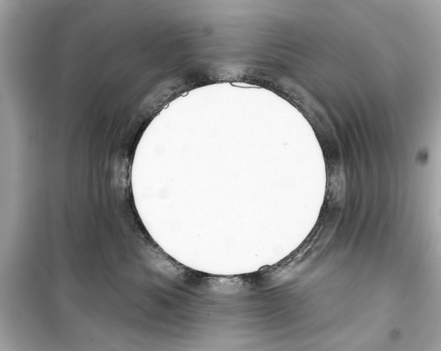 X0000098210525200805221630
