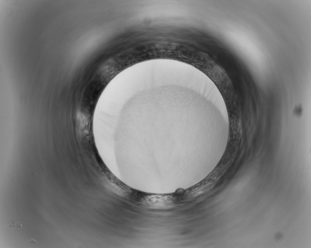 X0000098210526200805221630