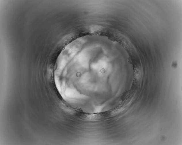 X0000098210527200805221630