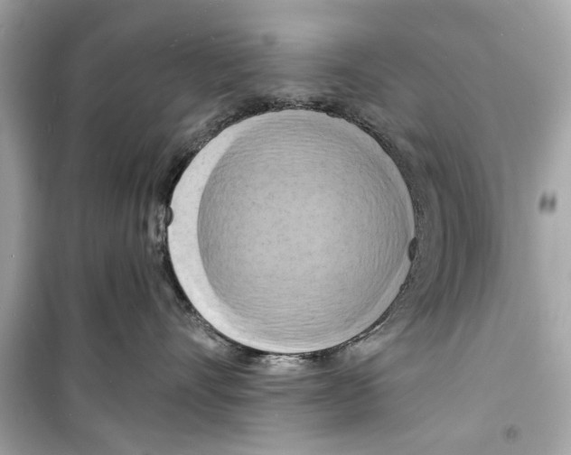 X0000098210528200805221630