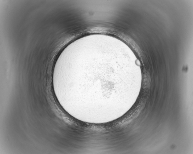X0000098210529200805221629