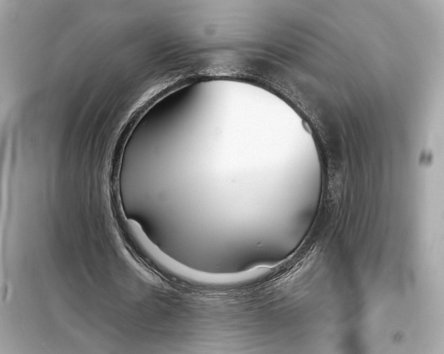 X0000098210530200805221629