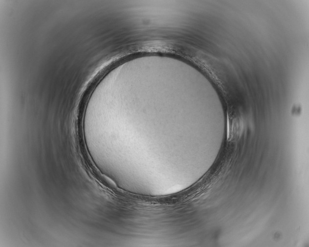 X0000098210531200805221629