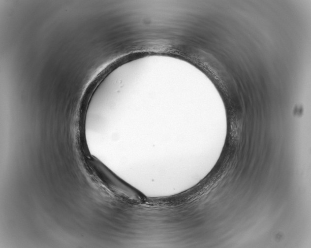 X0000098210532200805221629