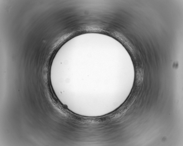 X0000098210533200805221629