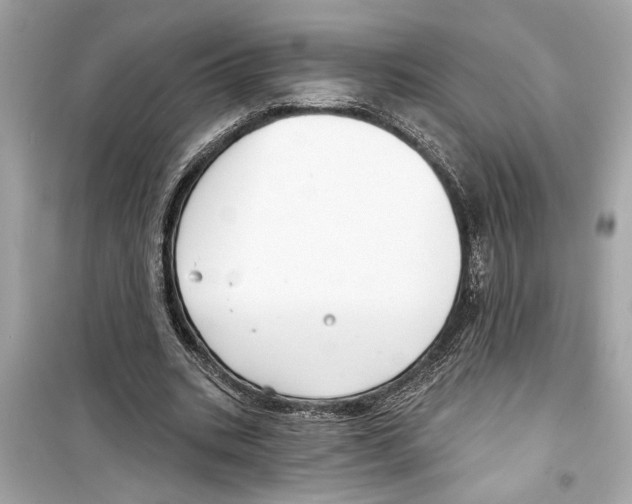 X0000098210535200805221629